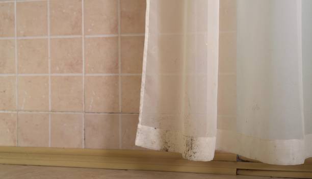 Best Mold Odor Removal Services  in Houston, AK