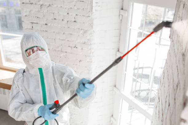Best Mold Remediation for Healthcare Facilities  in Houston, AK