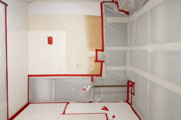 Best HVAC Mold Inspection and Cleaning  in Houston, AK