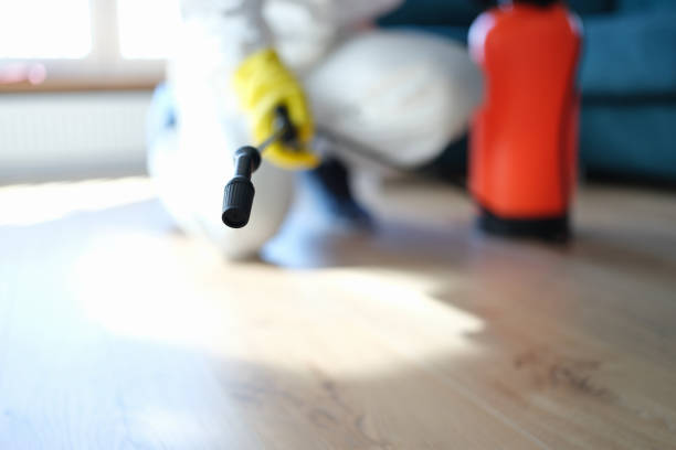 Best Attic Mold Removal  in Houston, AK