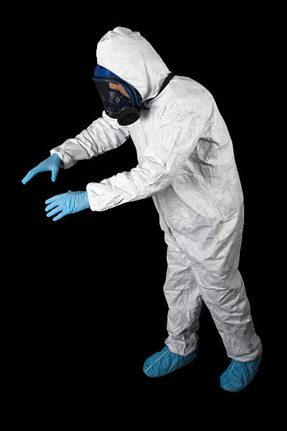 Professional Mold Removal in Houston, AK