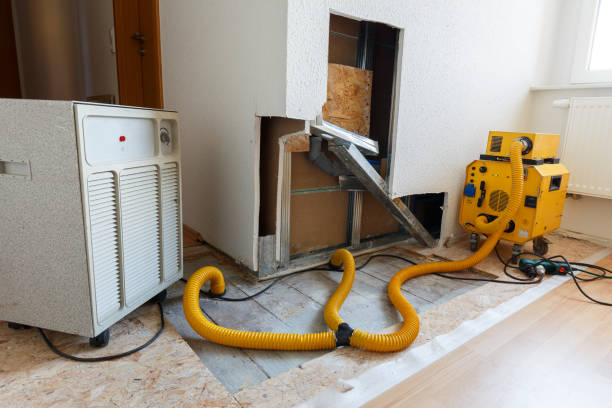 Best Indoor Air Quality Assessment  in Houston, AK