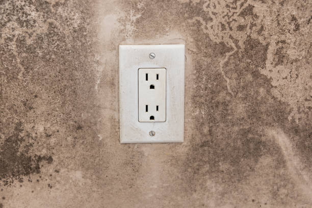 Best Commercial Mold Inspection  in Houston, AK
