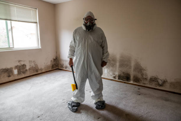 Best Mold Prevention Services  in Houston, AK